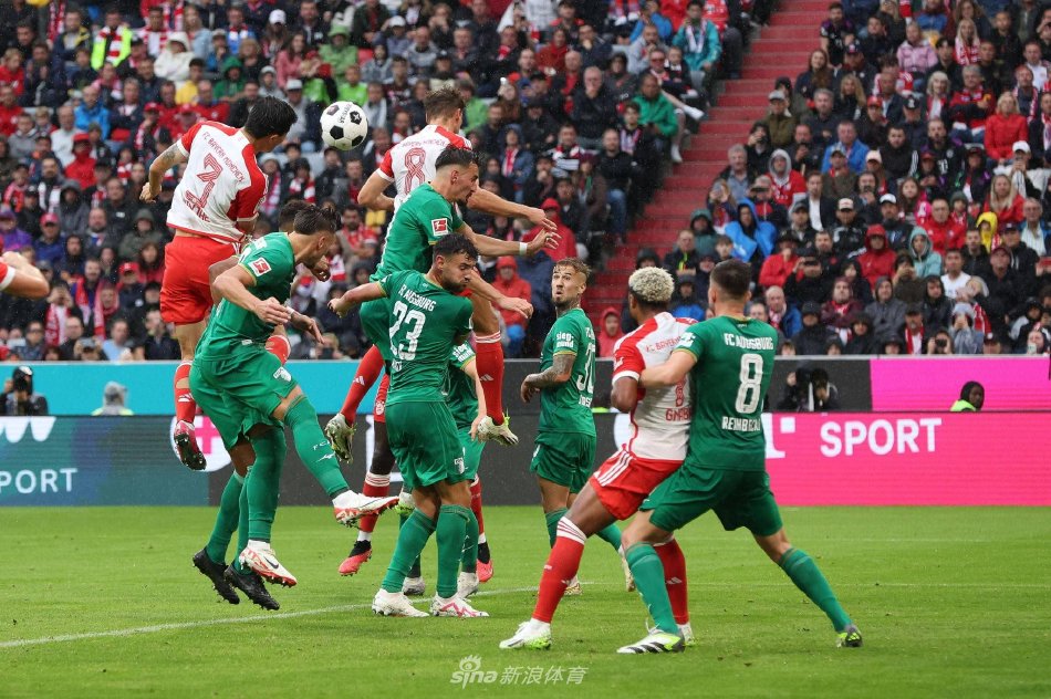 这对球员体 这对球员体